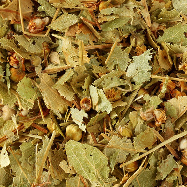 shop-single-img-30.3 aa